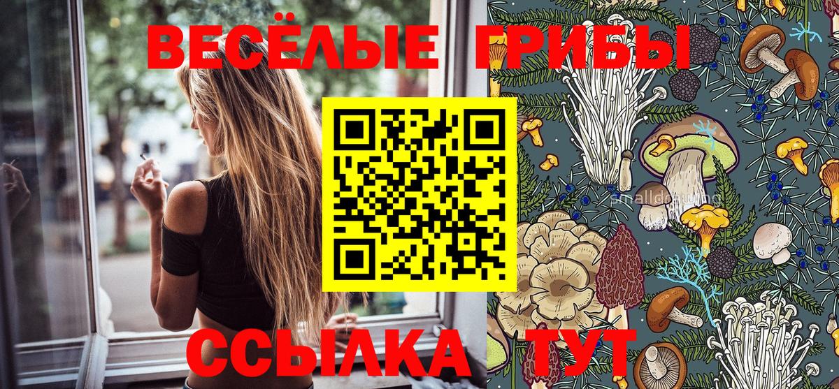 Псилоцибиновые грибы Magic Shrooms Новоалтайск