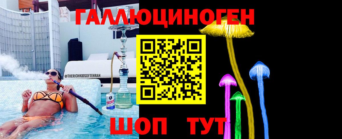 Галлюциногенные грибы MAGIC MUSHROOMS  продажа наркотиков  Вход с VPN  Новоалтайск  Псилоцибиновые грибы мицелий 